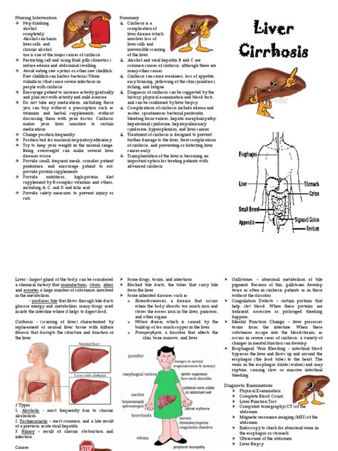 Liver Cirrhosis Cirrhosis Liver