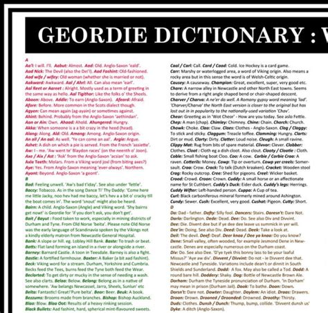 Geordie Dictionary Print Featuring Over 560 North East Words Poster