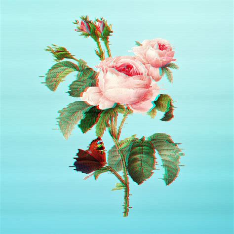 English Rose With Glitch Effect Design Element Free Image By Rawpixel