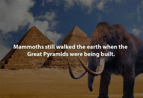 These 29 Mind Boggling Facts Will Leave You Speechless