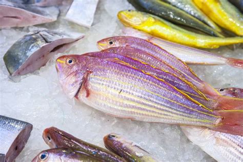 Whole Fresh Fishes Are Offered In The Fish Marke Stock Image Image Of