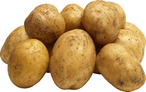 Potato Png Image Purepng Free Transparent Cc0 Png Image Library