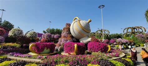 Dubai Miracle Garden Emirates Visions Of Travel