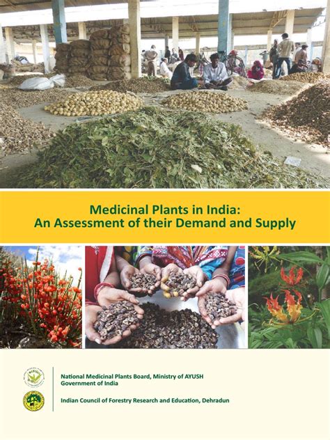 Medicinal Plants In India An Assessment Of Their Demand