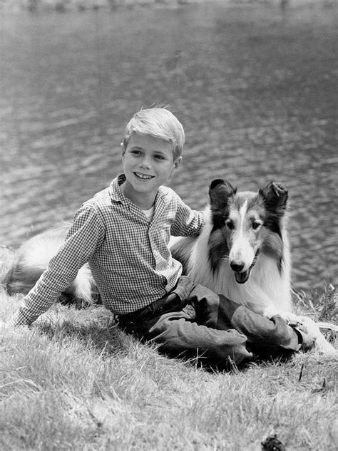 Pin On Timmy And Lassie