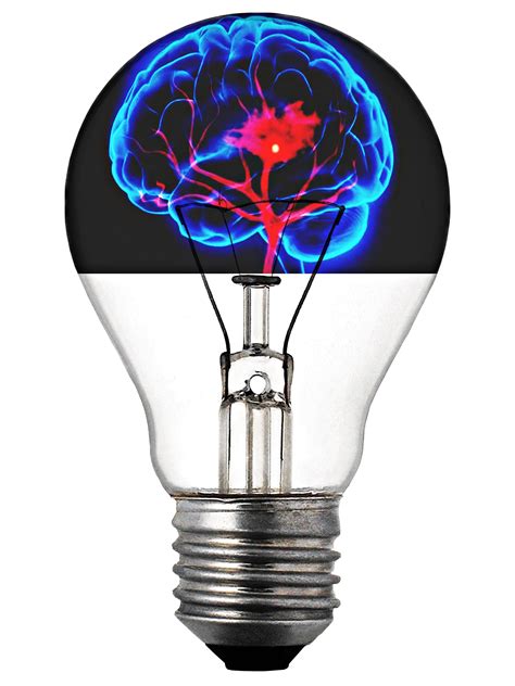 Free Picture Photomontage Light Bulb Brain Inspiration Electricity
