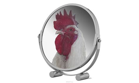Создать мем петух на белом фоне Rooster петух в зеркале мем Картинки Meme
