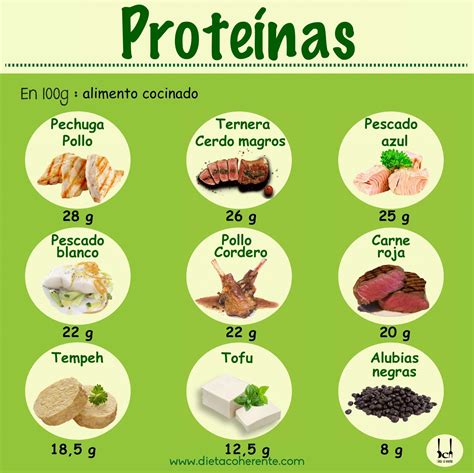 Cálculo De Proteínas En La Dieta Lowcarb Guía Alimentos