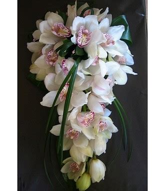 Spar77.de has been visited by 100k+ users in the past month Gillian Florist: White cymbidium orchid bridal bouquet