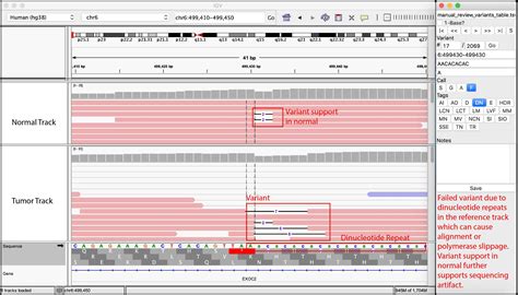 Somatic SNV and Indel Manual Review | Griffith Lab
