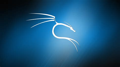 Kali Linux • Rwallpapers Blue Background Wallpapers Backgrounds