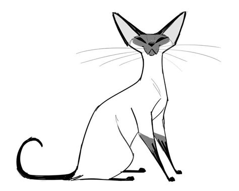 Siamese Cat Doodle
