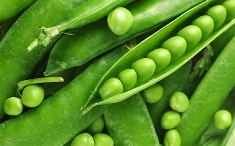 Fresh Green Peas Wallpapers Hd Desktop And Mobile Backgrounds