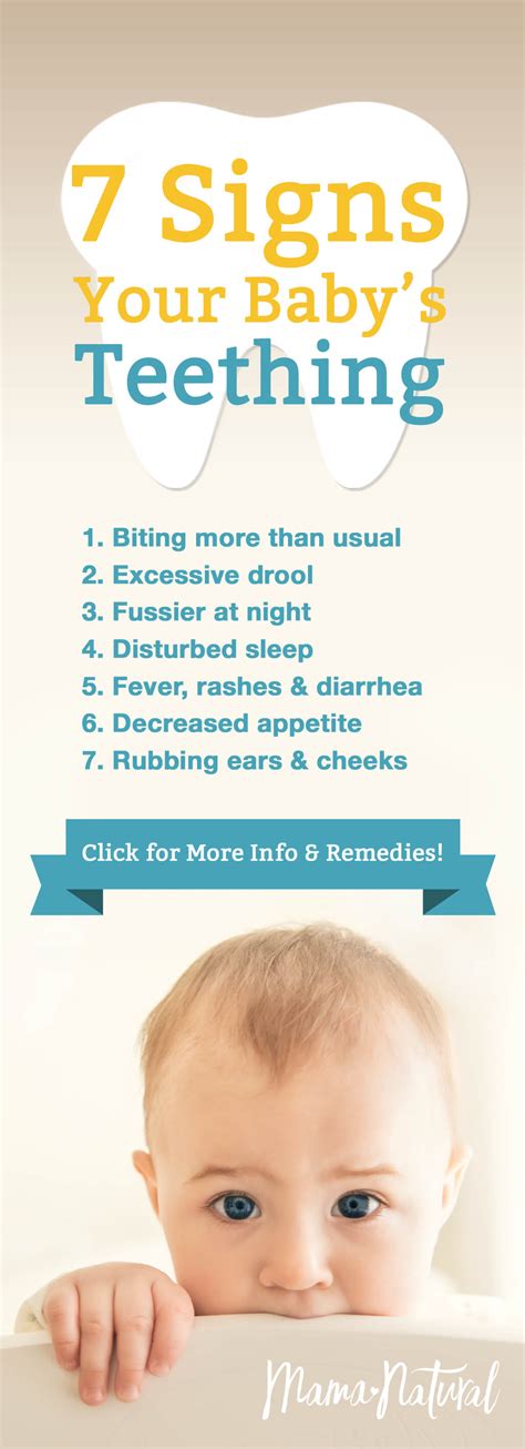 Teething Symptoms 7 Signs Your Baby Is Teething