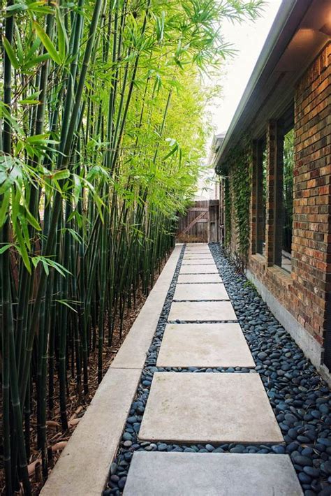 Bamboo Garden Ideas Bamboo Garden Design Ideas For Good Feng Shui At