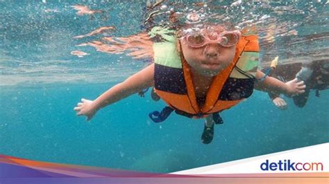 Gempi Yang Seru Seruan Snorkeling Di Pulau Macan Foto 3