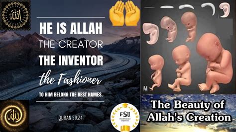 The Beauty Of Allah Creationhe Is Allahthe Creatorthe Inventorthe