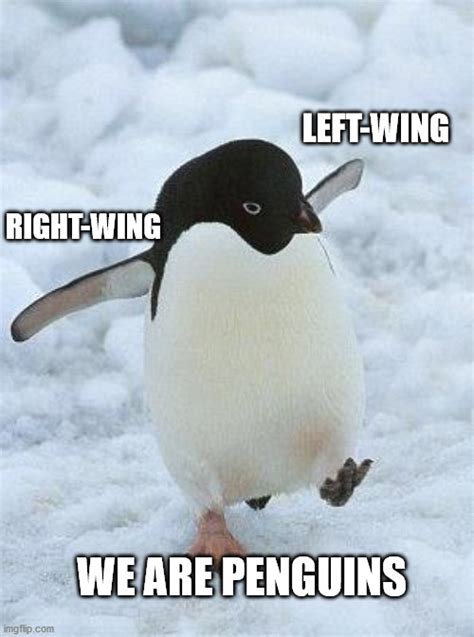 Penguin Imgflip