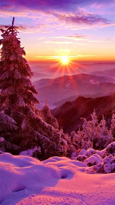 Wallpaper Winter Sky Sunset Mountains Forest Trees Spruce Snow