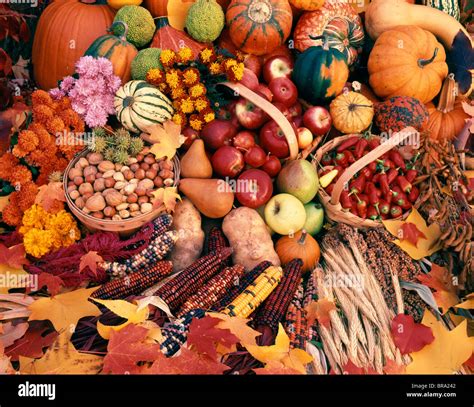 Still Life Of Autumn Harvest Fruits And Vegetables Stock Photo Alamy