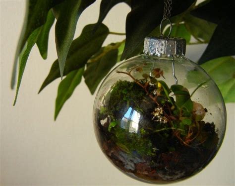 Inhabitat S Easy Diy Tutorial Showing You How To Create Your Own Terrarium Christmas Ornaments