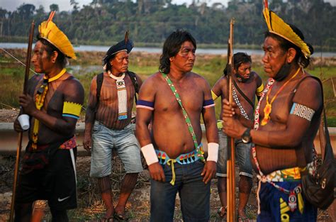 indigenous groups in the amazon evolved resistance to deadly chagas worldnewsera