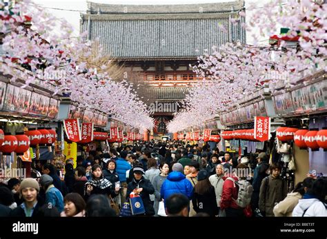 Nakamise Dori Avenue Decorated With Paper Cherry Blossoms Asakusa Tokyo Japan Stock Photo