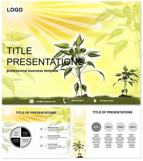 Plant Presentation Template