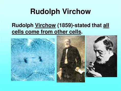Ppt Cell Theory Powerpoint Presentation Free Download Id5734777