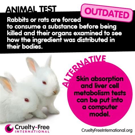 12 Best Images About Animal Testing Facts On Pinterest Coin Toss