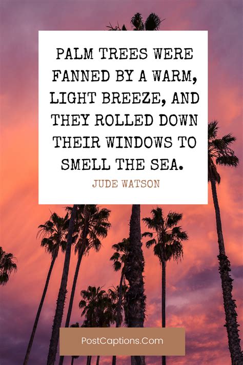 60 Palm Tree Captions And Palm Tree Quotes For Instagram