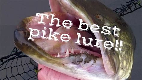 The Best Pike Lure Youtube