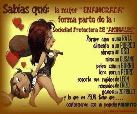 ● esta aplicacion cuenta con mas de 100 frases para hombres infieles. Frases para infieles y mentirosos - Imagui