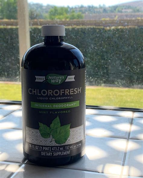 The Benefits Of Drinking Chlorophyll Water