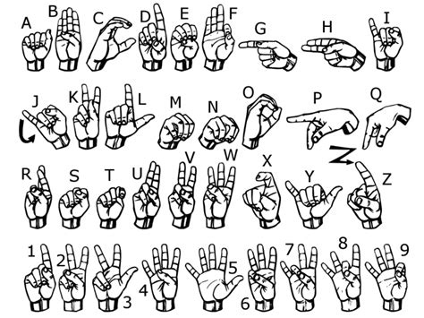 How To Build Sign Language Recognition Using Cnn And Opencv Journey