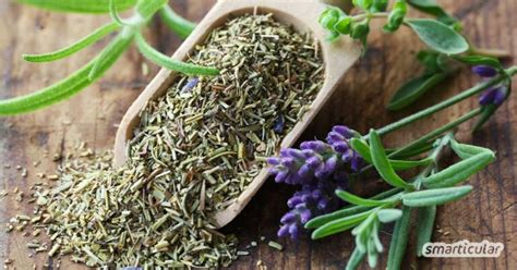 Kräuter der Provence Mediterrane Gewürzmischung zum Selbermachen