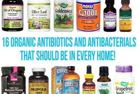 Organic Antibiotics A Must Have At Home Healthy Holistic Living