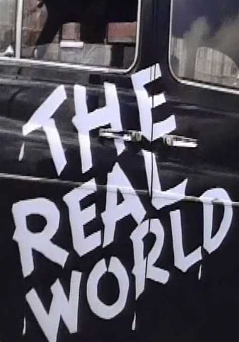 The Real World Season 4 Watch Episodes Streaming Online