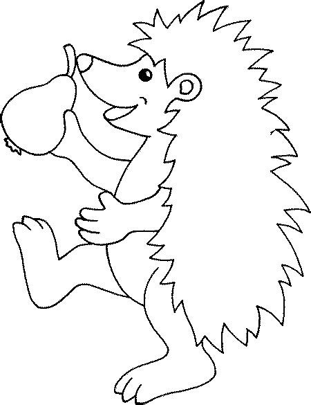 Hedgehog Coloring Pages Animal Coloring Pages Cool Coloring Pages