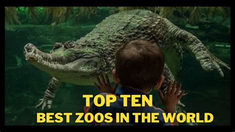 List Of Top Ten Best Zoos In The World