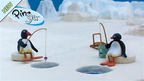 Pingu Has A Fishing Competition Pingu Official Channel Youtube