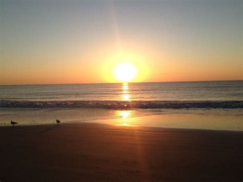 They are near north beach and other beaches off the atlantic coast. Tybee Island sunrise | Tybee island, Sunrise, Island