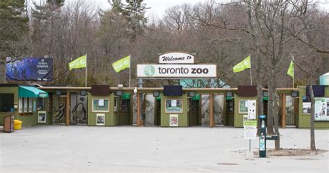 Toronto Zoo Looking For Financial Help To Feed Animals During Covid 19