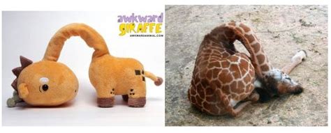 Awkward Giraffe Wong Fu Wong Fu Productions Awkward Animals Funny