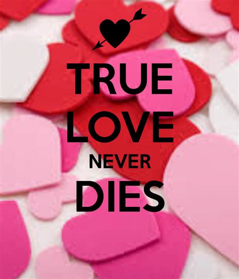🔥 48 True Love Never Dies Wallpaper Wallpapersafari