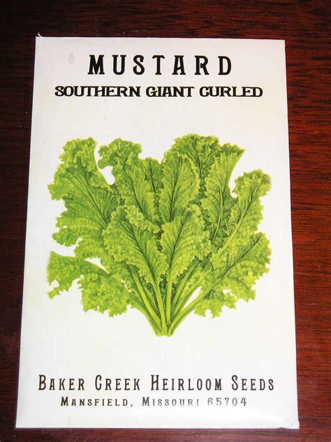 How To Grow Mustard Greens From Seed New Life On A