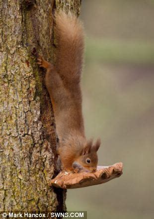 Learn vocabulary, terms and more with flashcards, games and other study tools. I have a table booked: The moment a clever squirrel uses a ...