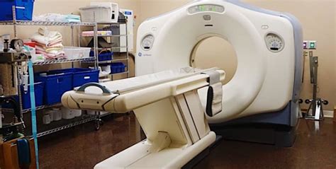 The Benefits Of A Ct Scanner In Veterinary Medicine Memphis