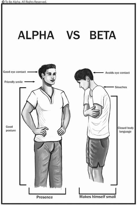 Alpha Vs Beta Social Classes Linguagem Corporal Linguagem Corporal