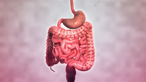 Crohn's Disease - Scientific Animations